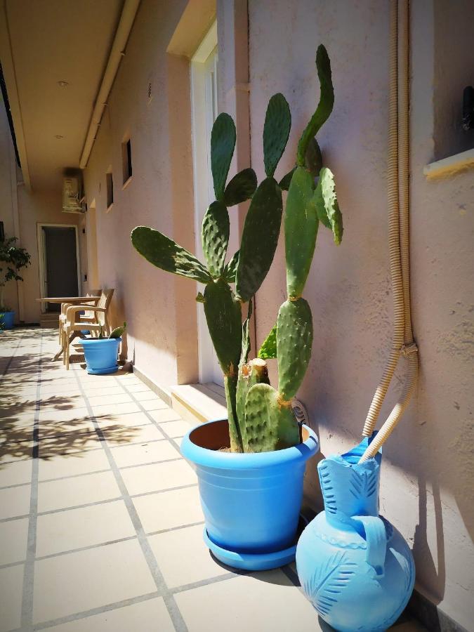 Xenios Dias Appartement *